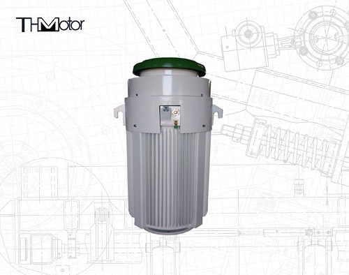 IE2 0-40C Special Application Motors 600V 600HP For Temperature Range