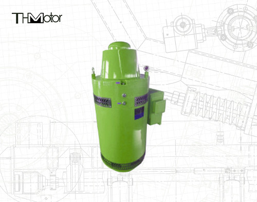 Asynchronous Induction Motor Temperature Range Three-Phase AC Motors IP65