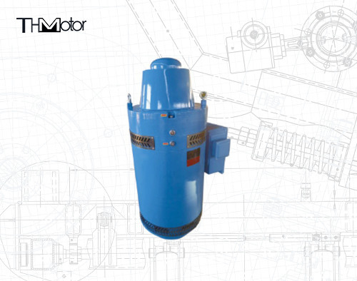 Asynchronous Induction Motor Temperature Range Three-Phase AC Motors IP65