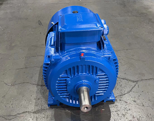 IC0141 Squirrel Cage Motor With 75mm Shaft Diameter For Continuous S1 Operation