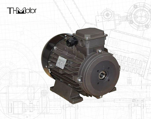 Power Hollow Shaft/Solid Shaft IP54/IP55 Voltage DC Motor for Industrial Applications