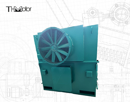 IP55 Voltage 4-Pole Induction Electric Motors With IC611 Cooling Method