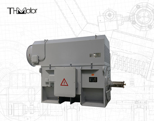 Industrial Continuous S1 Operation Squirrel Cage Motor IP55 0.89 Power Factor 450Mm Shaft Height