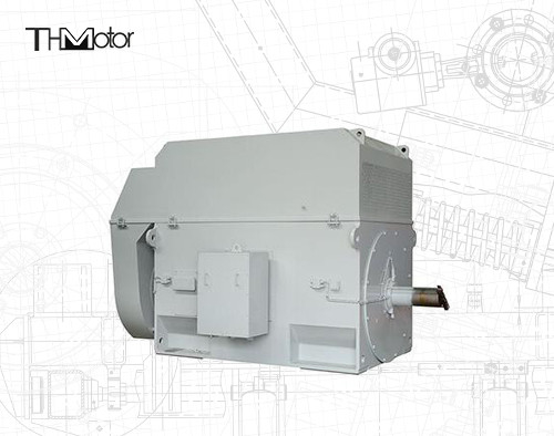 50Hz Squirrel Cage Motor with 100mm Shaft for Continuous 3000RPM Operation