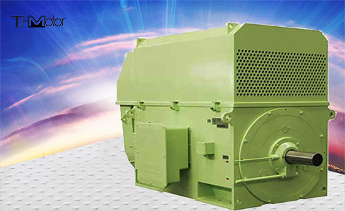 6000kw Three Phase Squirrel Cage AC Induction Motor High Voltage AC Motor 6kv 10kv