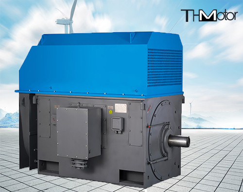 Y800 Squirrel Cage High Voltage Electric Motors 1500r/Min