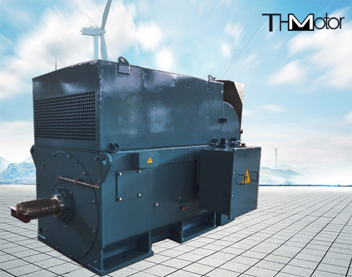 Y800 Squirrel Cage High Voltage Electric Motors 1500r/Min