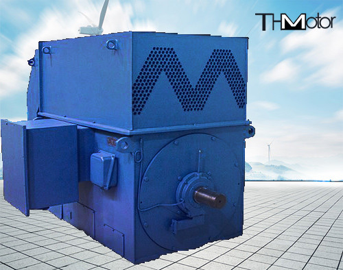 6KV 10KV Squirrel Cage High Speed Electric Motors IP23 IP54 IP55