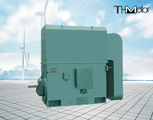 50hz 5000kw High Voltage Electric Motors