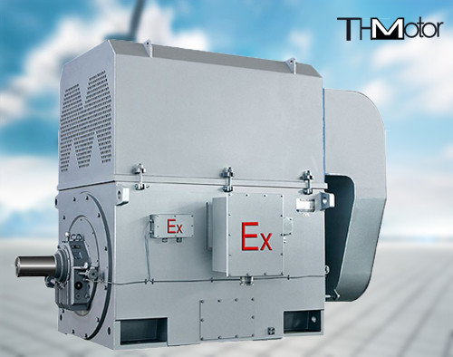 YAKS Explosion Proof​ Flameproof Electric Motor IP44 IP54 IP55