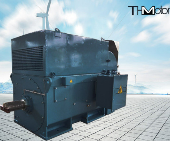 Y800 400kw to 6000kw Squirrel Cage High Voltage Electric Motors 1500r/Min 3600rpm