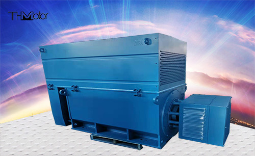 6000kw Three Phase Squirrel Cage AC Induction Motor High Voltage AC Motor 6kv 10kv