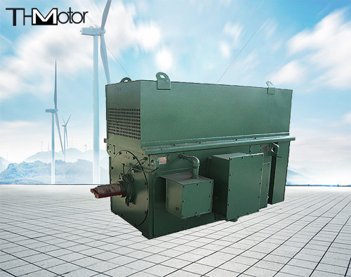 Y900 Y1000 معدن زغال سنگ موتورهای الکتریکی سه فاز بی هم زمان ولتاژ بالا 900kw 1250kw